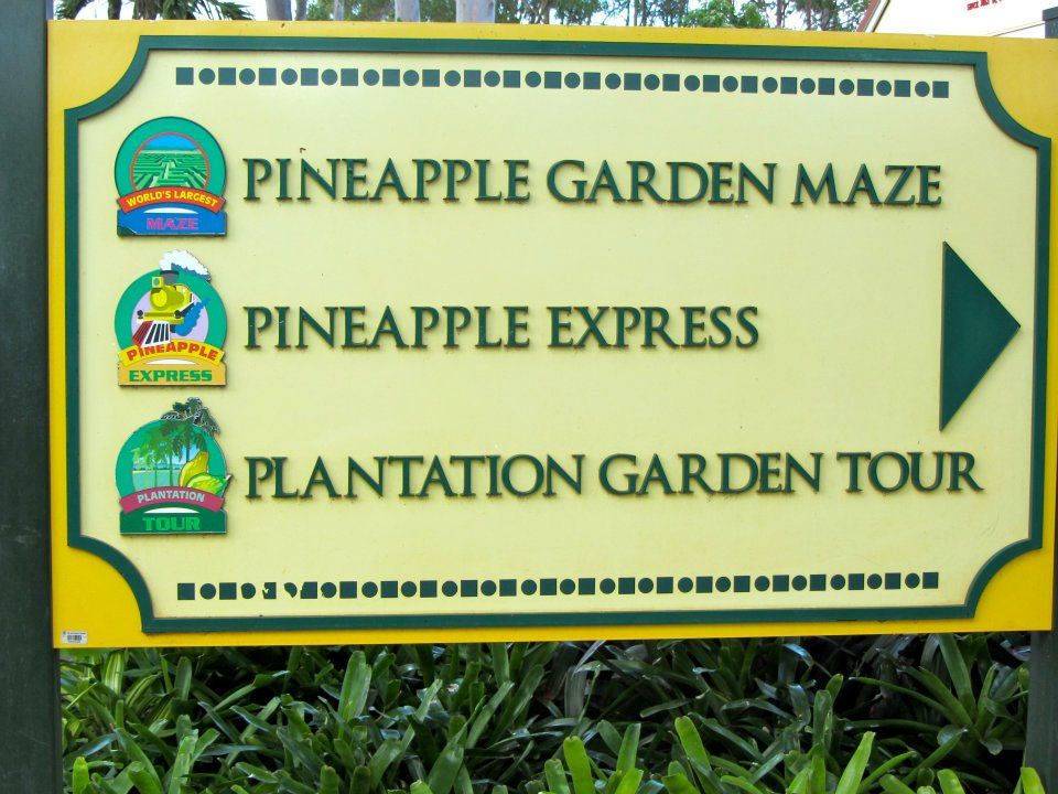 Spoiled for choice at the Dole Plantation