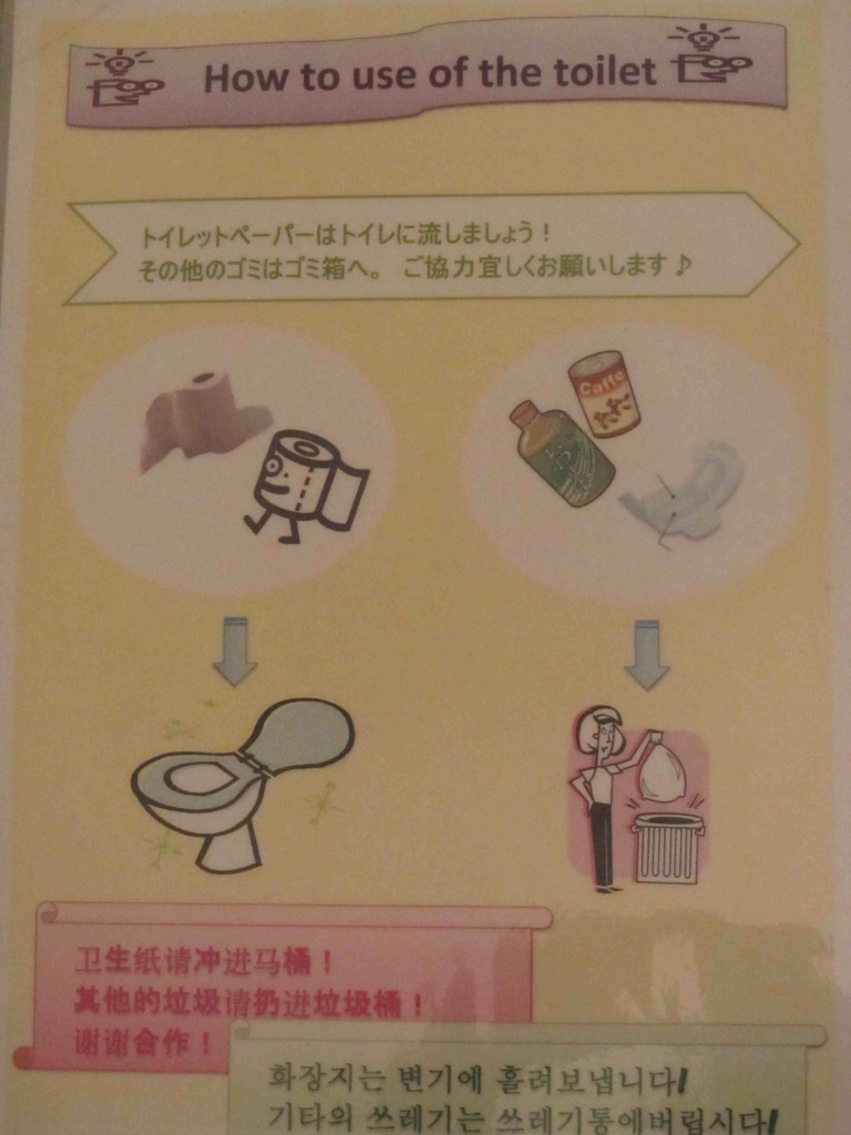 How to use the toilet How to use the toilet, Panstar Ferry