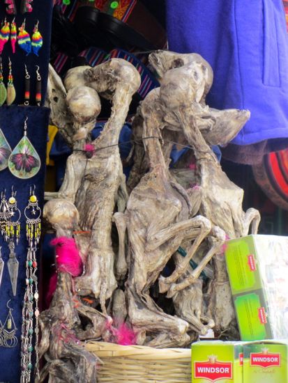 Dried llama fetuses in La Paz, Bolivia