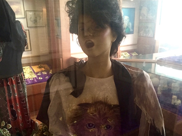 Cat museum model