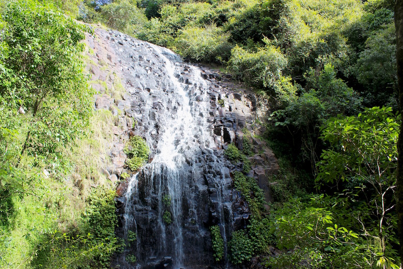 Dorrigo waterfall