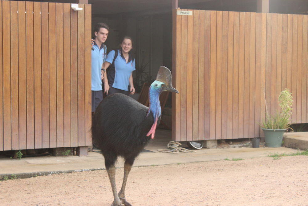 Two schoolkids and a big bird