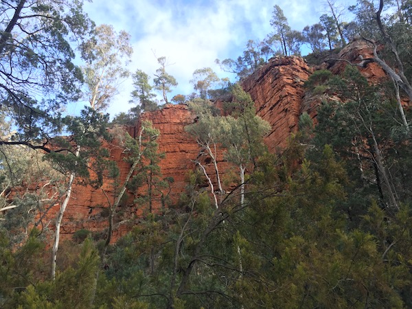 Gorge Melrose South Australia