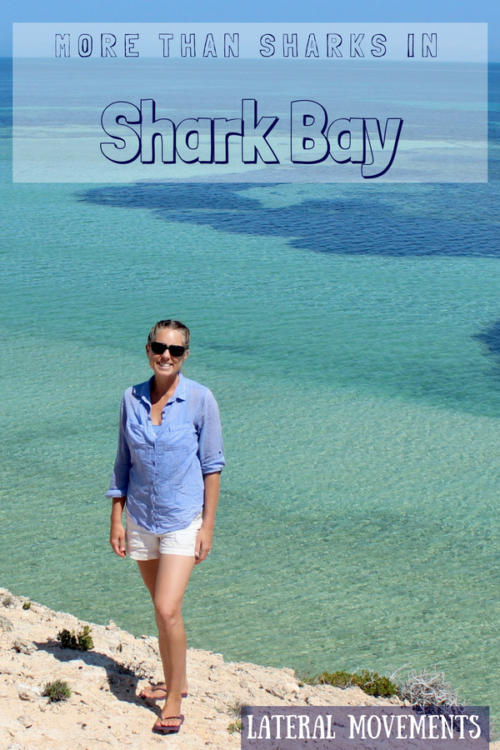 Shark Bay Pinterest pin