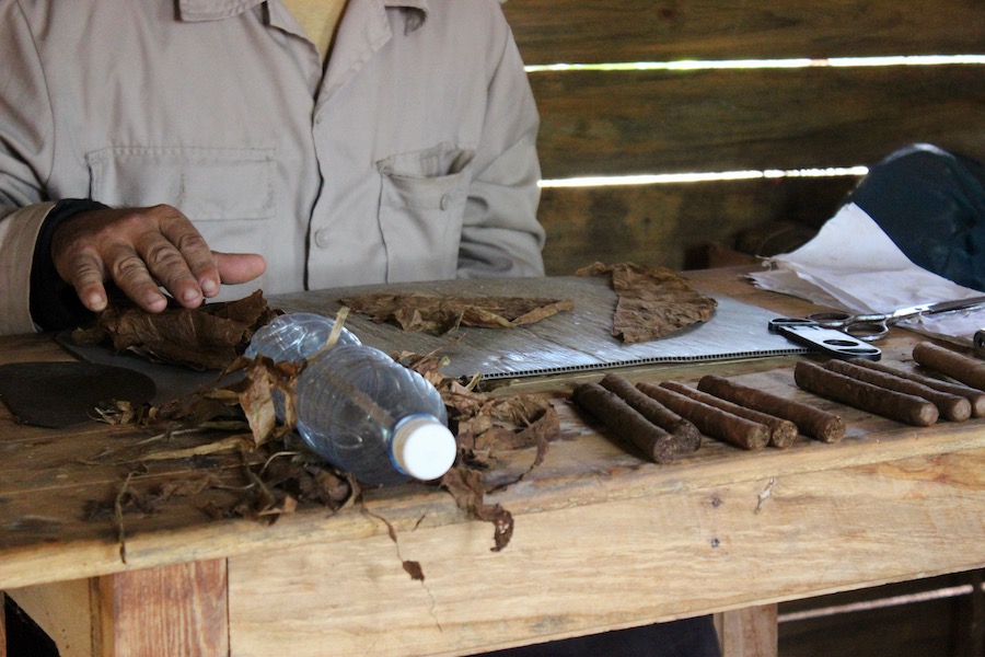Cuban cigars Vinales