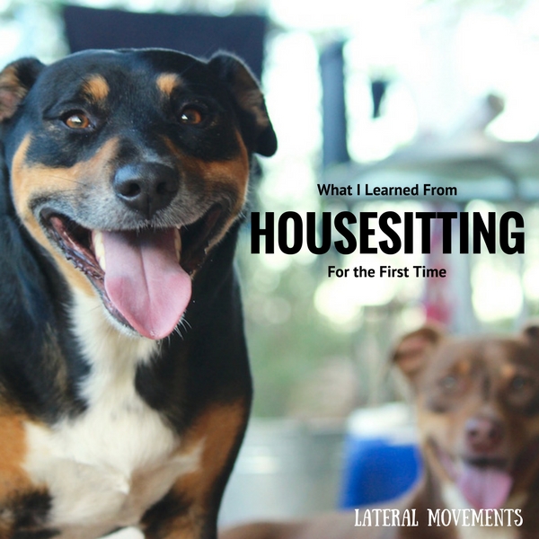 What I Learned from Housesitting for the First Time