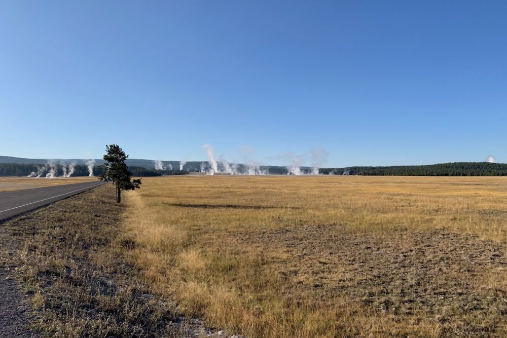A dozen geysers steam from the horizon against a blue sky