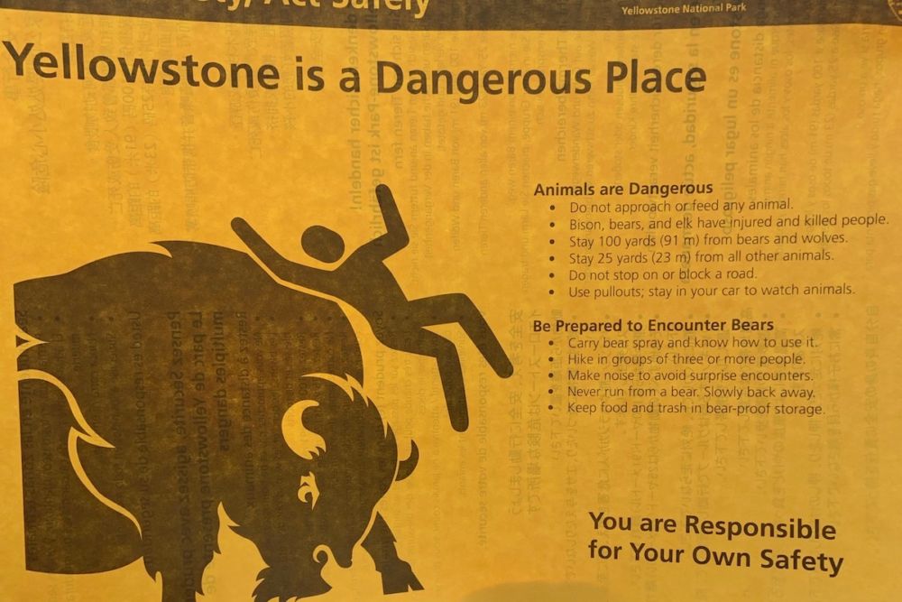 Graphic of bison butting a person, with warnings to give wildlife a wide berth.