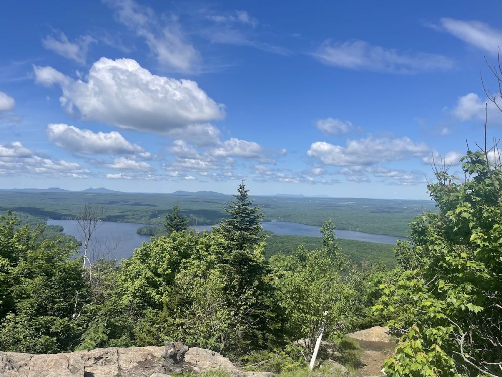 A scenic vista showing water, blue skies, and lush greenery