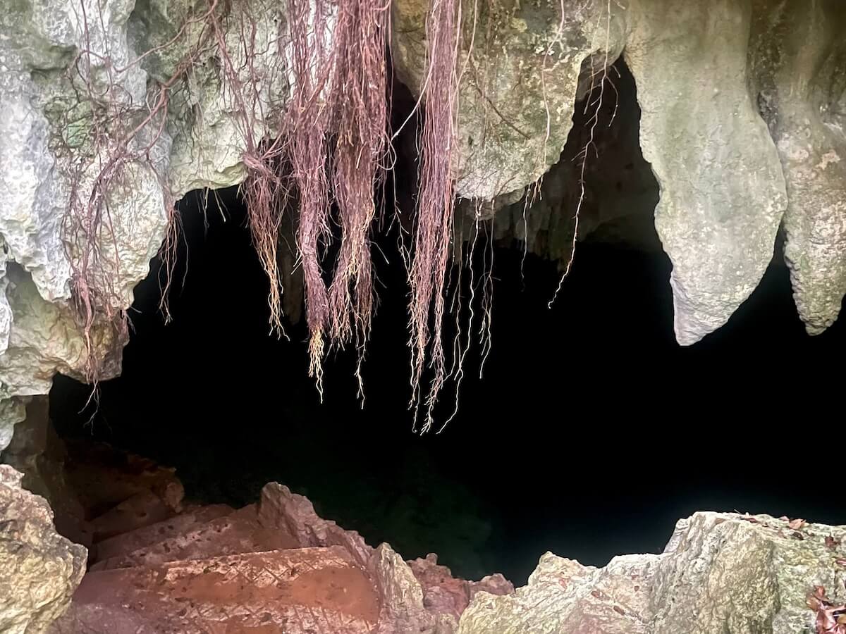 A foreboding cave mouth with jagged rocks and hanging debris. Muddy man-made steps descend into the cave beyond, which cannot be seen from the entrance.